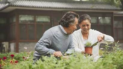 Senior couple smiling in garden