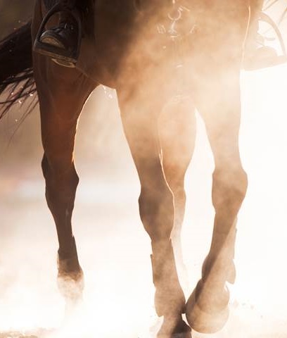 A horse gallops in a cloud of dust.